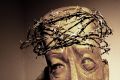 Crown of Thorns